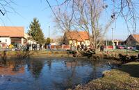Časy