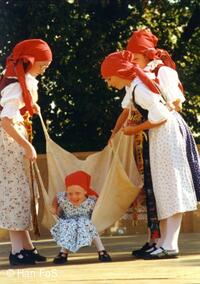 Hanácké folklorní sdružení